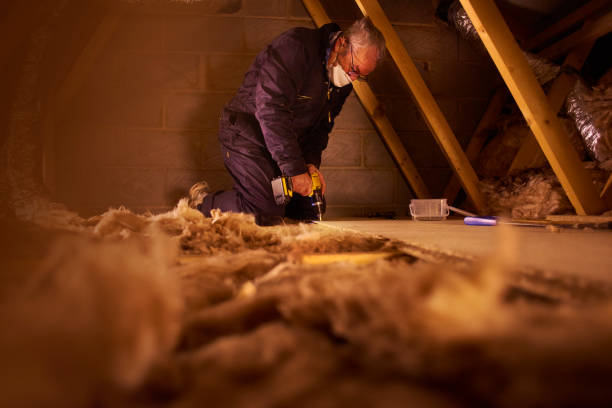 Best Geographic-Specific Insulation Services in Malakoff, TX